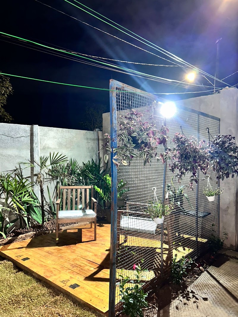 Foto de PATRICIA LÙCIO - TERAPEUTA PSICANALISTA